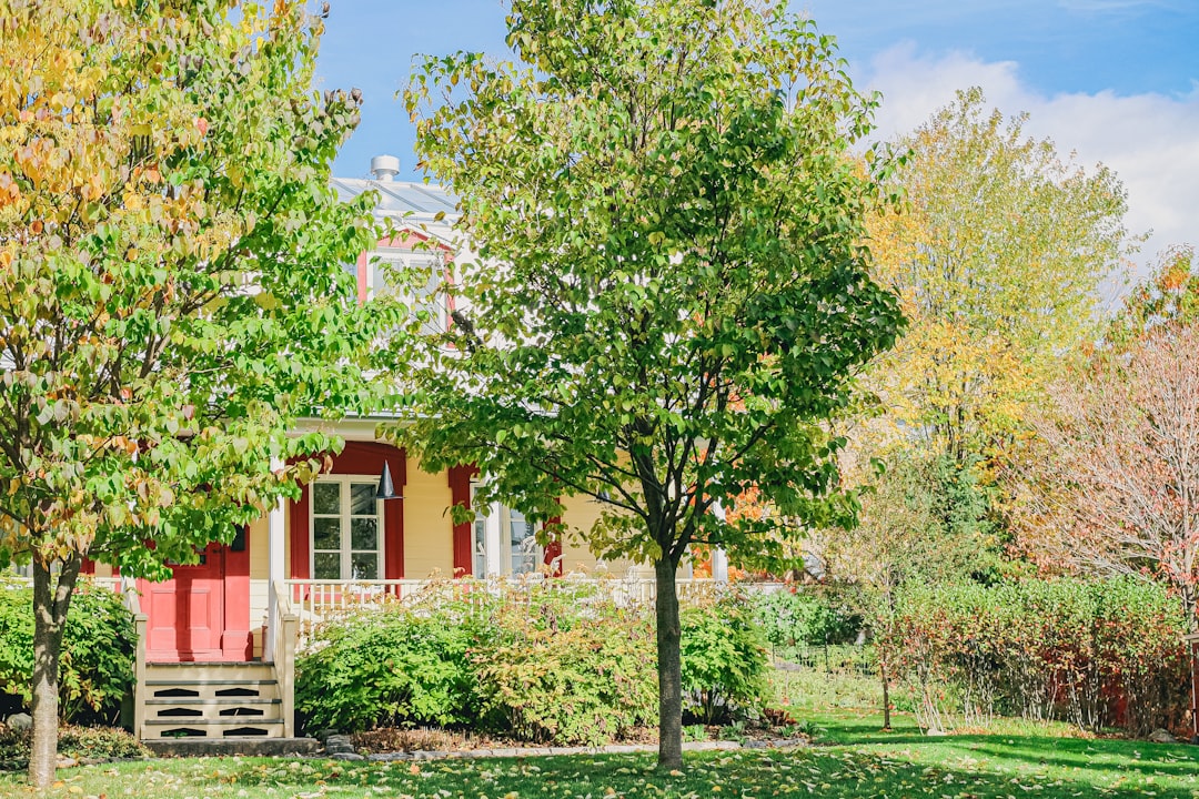 Homes in Naperville Illinois