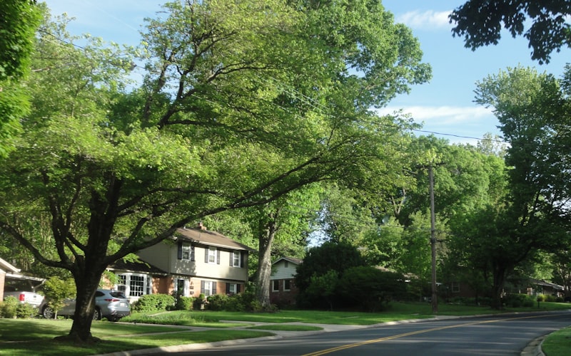 Tree-lined residential street in Bristol Bay neighborhood Yorkville IL