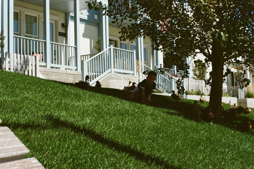 FHA vs conventional